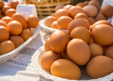 Cooperados da Lar Cooperativa Agroindustrial alcançam 506 ovos por ave alojada com Bovans White