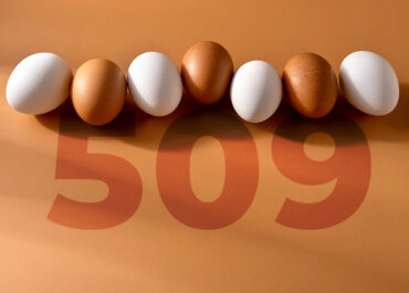 Mercoaves comemora marcas históricas