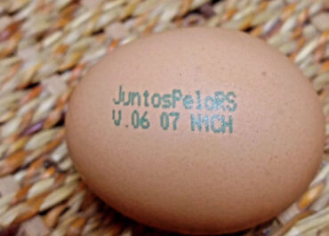 Juntos Pelo RS ganha impressão em ovos!